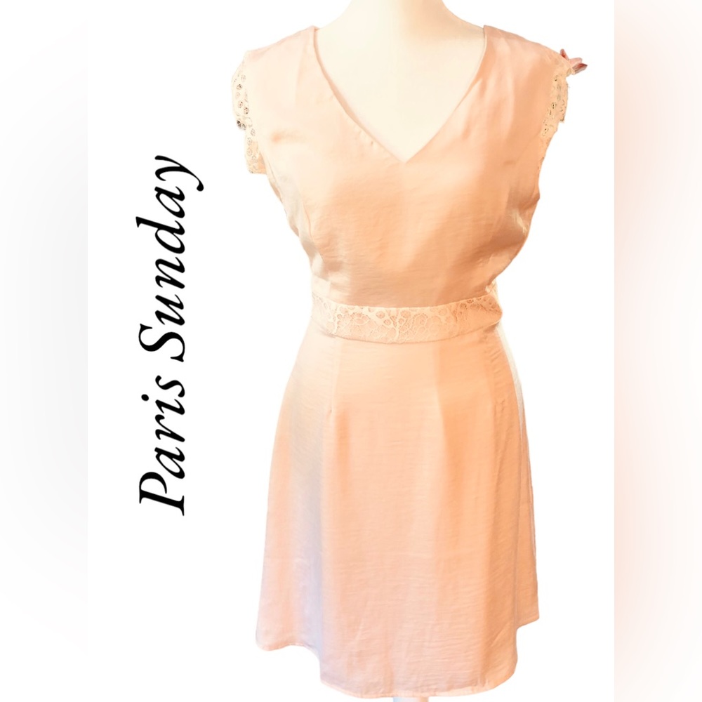 NWT Sz S Paris Sunday Pink Cocktail Dress